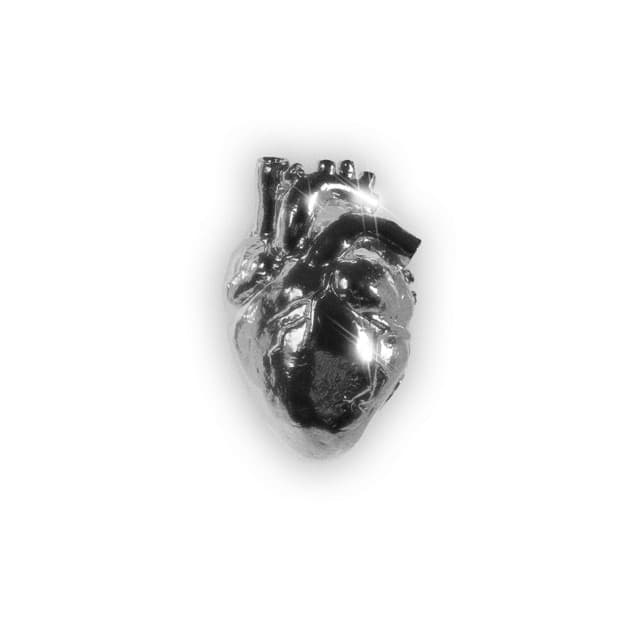 2JgUaDHNqrl4zsE8VyJT9N