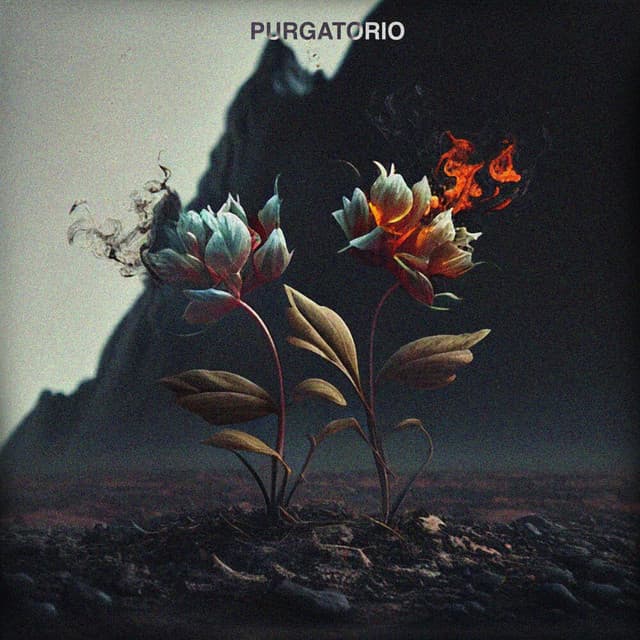 10L5shZaQtIIiUAM2gpcEt