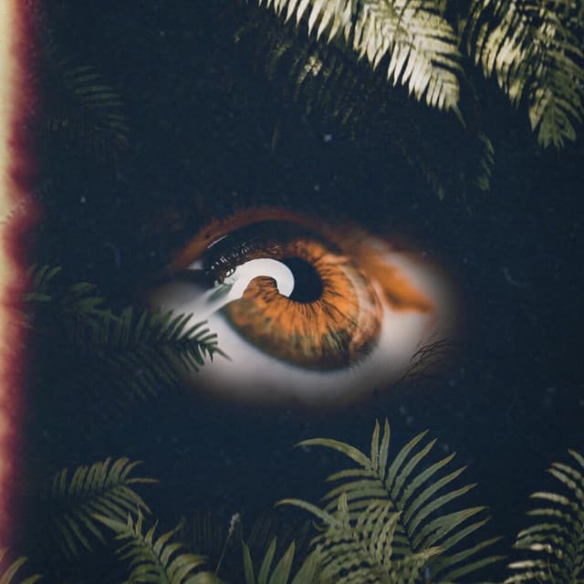 2ZVLQebq4ti5u7wTJCsk42