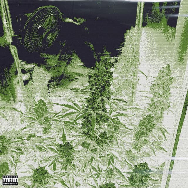 61zZkqby7jagmiUk1Abmn0